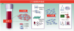 南京苏州哪里能做CTC循环肿瘤细胞检测