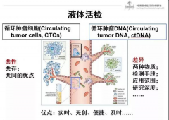 CTC和ctDNA(MRD)的区别在哪里，检测费用是多少