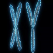染色体的基因检测能查有哪些药物跟治疗方案吗